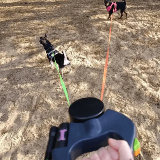 One-to-two dog leash for medium and small dogs, automatically retractable dog leash.