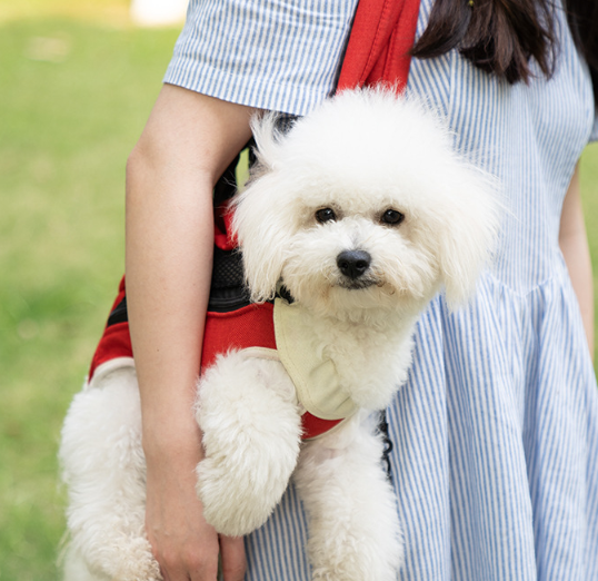 Pet Bag Portable Cat and Dog Backpack Linen Cotton Chest Four-legged Backpack